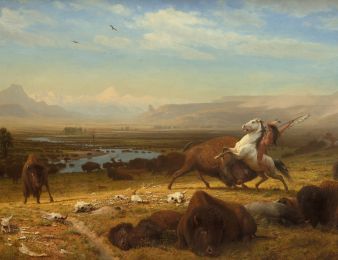 Cattle Drive Gallery Wrap