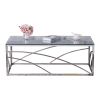 Stainless Steel Rectangular Accent Glass Coffee Table for Living Room- 46.8" Modern Sleek Center Table with Lounge Table with Blue Gray Tempered Glass