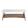 [Only support Drop Shipping Buyer] Parker coffee table