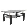 Rectangle Black Glass Coffee Table; Clear Coffee Table; Modern Side Center Tables for Living Room; Living Room Furniture